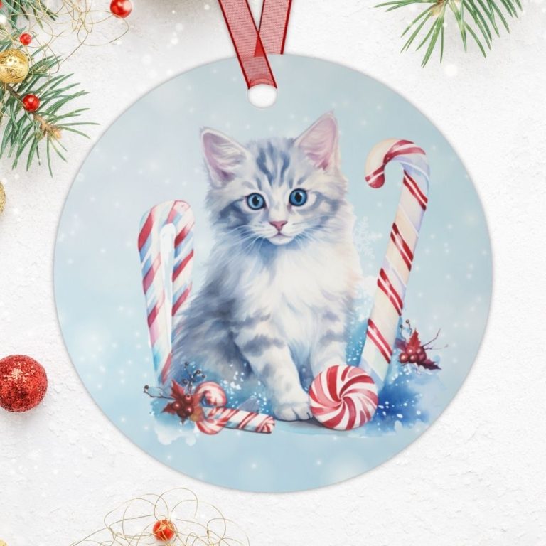 Tabby cat on christmas